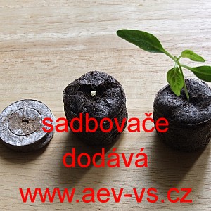 Sadbovače na v&yacute;robu zdrav&eacute; sadby