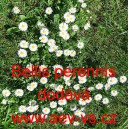 Sedmikr&aacute;ska obecn&aacute;, chudobka