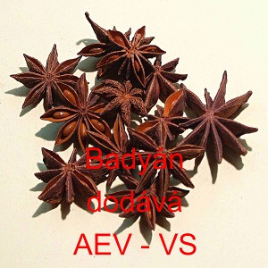 Bady&aacute;n cel&yacute;