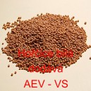 Hořčice b&iacute;l&aacute;