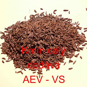 Km&iacute;n cel&yacute;