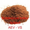 Ro&scaron;těnkov&eacute; kořen&iacute;