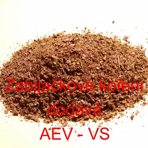 Zabijačkov&eacute; kořen&iacute;