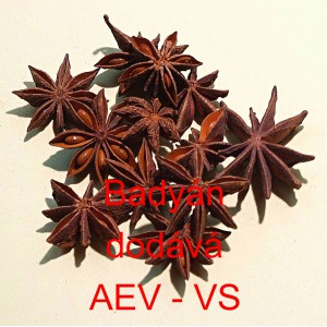 Bady&aacute;n cel&yacute;