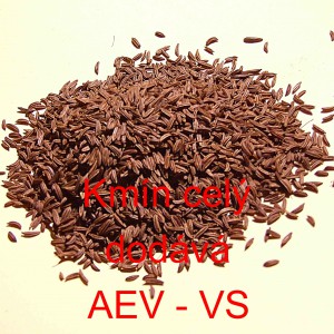 Km&iacute;n cel&yacute;