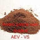 Kořen&iacute; patera vůn&iacute;