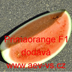 Meloun vodn&iacute; hybridn&iacute; Primaorange F1
