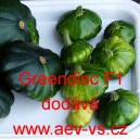 Patizon (Tykev obecn&aacute;) Greendisc F1