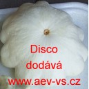 Patizon (Tykev obecn&aacute;) Disco