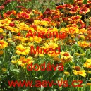 Kokarda zkř&iacute;žen&aacute; Arizona Mixed