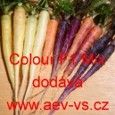 Mrkev obecn&aacute; hybridn&iacute; Colour F1 Mix