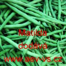 Fazol tyčkov&yacute; zelenolusk&yacute; Matilda