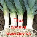 P&oacute;r zahradn&iacute; Titus