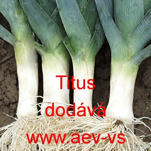 P&oacute;r zahradn&iacute; Titus