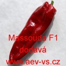 Paprika ročn&iacute; zeleninov&aacute; hybridn&iacute; Massouda F1 (Italien Dulce)