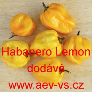 Paprika p&aacute;liv&aacute; čil&iacute; Habanero Lemon