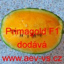Meloun vodn&iacute; hybridn&iacute; Primagold F1