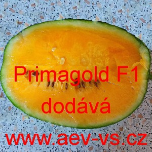 Meloun vodn&iacute; hybridn&iacute; Primagold F1