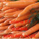 Mrkev obecn&aacute; hybridn&iacute; Jolana F1