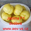 Paprika ročn&iacute; rajčinov&aacute; hybridn&iacute; Jablina F1
