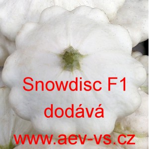Patizon (tykev obecn&aacute;) hybridn&iacute; Snowdisc F1