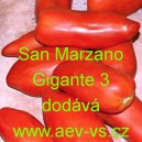 Rajče tyčkov&eacute; San Marzano Gigante 3