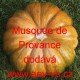 Tykev muškátová Muscade de Provence