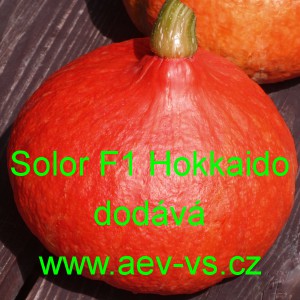 Tykev velkoplod&aacute; hybridn&iacute; Solor F1 Hokkaido