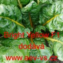 Mangold hybridn&iacute; Bright Yellow F1