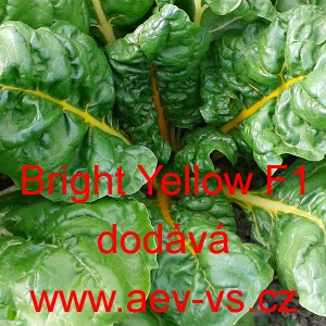 Mangold hybridn&iacute; Bright Yellow F1