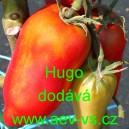 Rajče tyčkov&eacute; Hugo