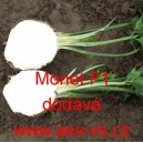 Cler bulvov&yacute; hybridn&iacute; Monet F1