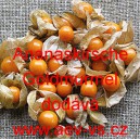 Mochyně oj&iacute;něn&aacute; Ananaskirsche Goldmurmel