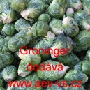 Kapusta růžičkov&aacute; Groninger