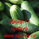 Okurka set&aacute; nakl&aacute;dačka hybridn&iacute; Marcel F1
