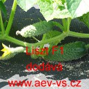 Okurka set&aacute; nakl&aacute;dačka hybridn&iacute; partenokarpick&aacute; hrub&aacute; Liszt F1