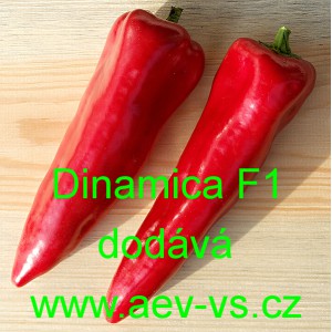 Paprika ročn&iacute; zeleninov&aacute; hybridn&iacute; Dinamica F1