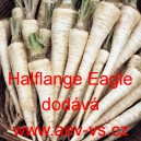 Petržel kořenov&aacute; Halflange Eagle