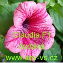 Pet&uacute;nie mnohokvět&aacute; Claudia F1