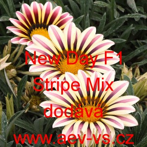 &Uacute;borovka z&aacute;řiv&aacute;, gaz&aacute;nie pevn&aacute; New Day F1 Tiger Mix