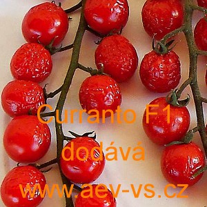 Rajče tyčkov&eacute; hybridn&iacute; Curranto F1