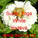 Ost&aacute;lka sličn&aacute;, lep&aacute; Super Yoga White