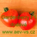 Rajče tyčkov&eacute; hybridn&iacute; Gardenberry F1