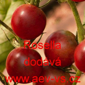 Rajče tyčkov&eacute; Rosella