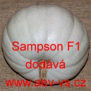 Tykev velkoplod&aacute; hybridn&iacute; Sampson F1