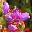Zvonek klubkat&yacute; Bellefleur Blue