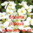 Husen&iacute;k kavkazsk&yacute; Snowfix