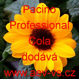 Slunečnice ročn&iacute; Pacino Professional Cola