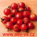 Rajče balkonov&eacute; Gardener's Delight