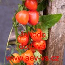 Rajče tyčkov&eacute; Jahodo